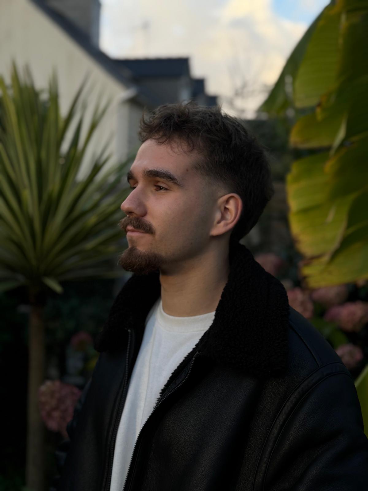 Hyzac, LIME video editor